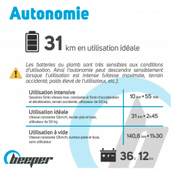 BEEPER - Cross Trottinette électrique Tout Terrain 1000W Batterie