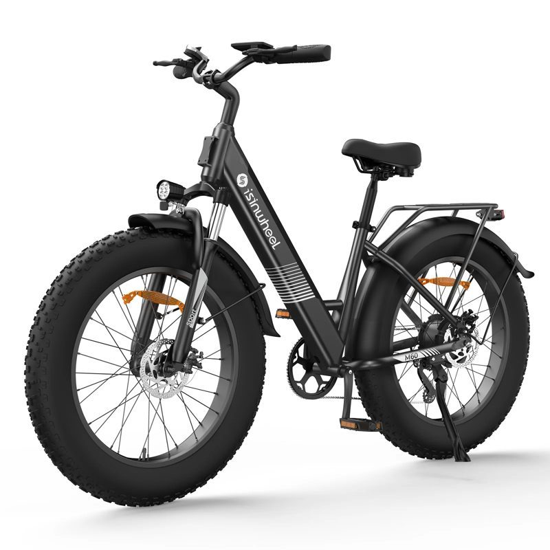 iSinWheel M60, visuel officiel de la marque